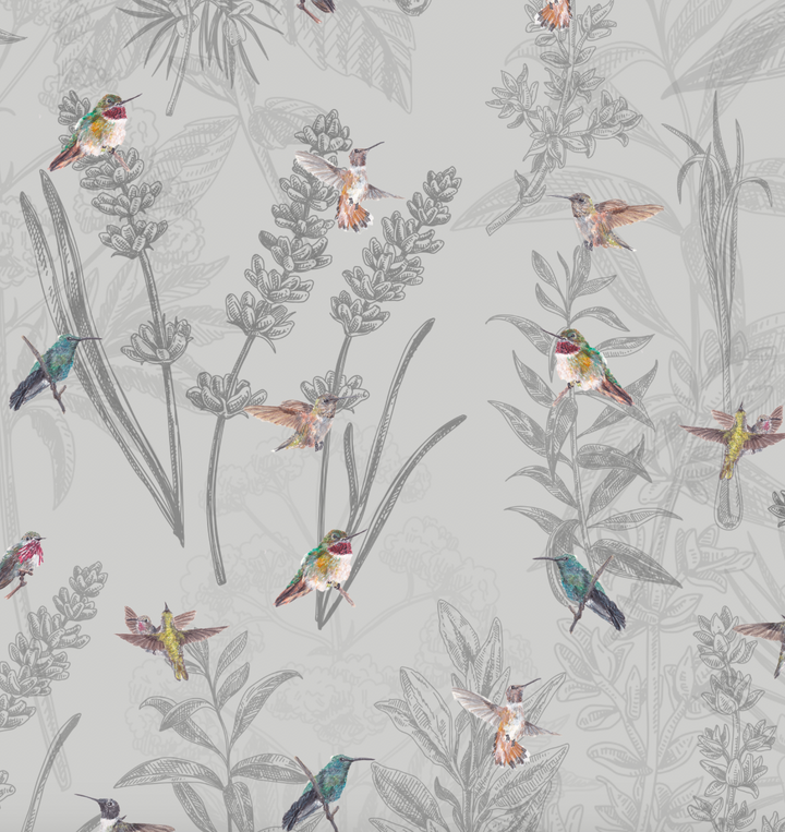 Papel Mural Colibri - Calandra Murales