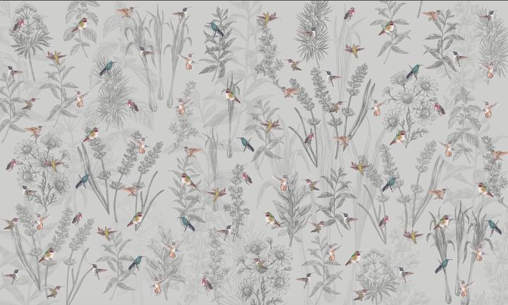 Papel Mural Colibri - Calandra Murales