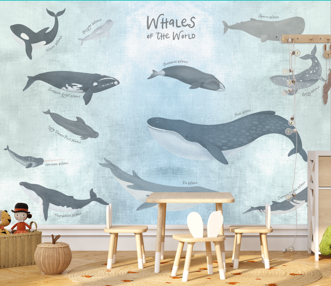 Papel Mural Ballena Azul - Calandra Murales