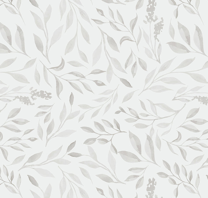 Papel Mural Acacia - Calandra Murales
