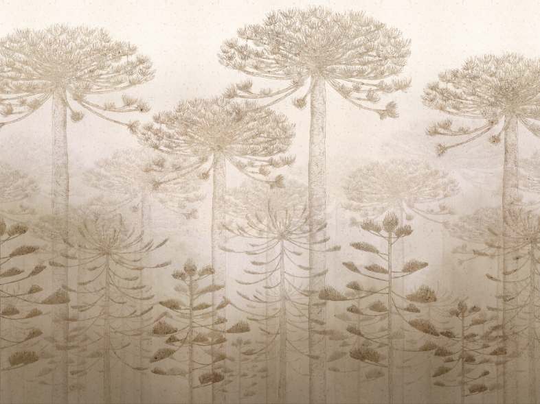 Papel Mural Javier - Calandra Murales