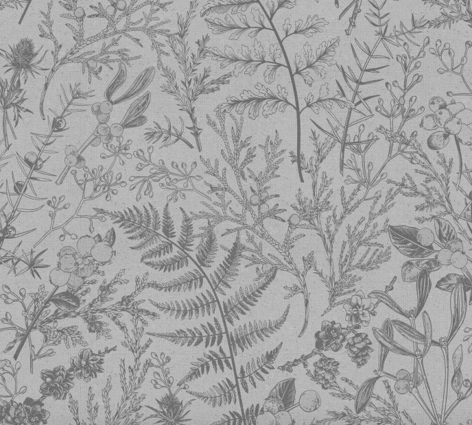 Papel Mural Helechos - Calandra Murales