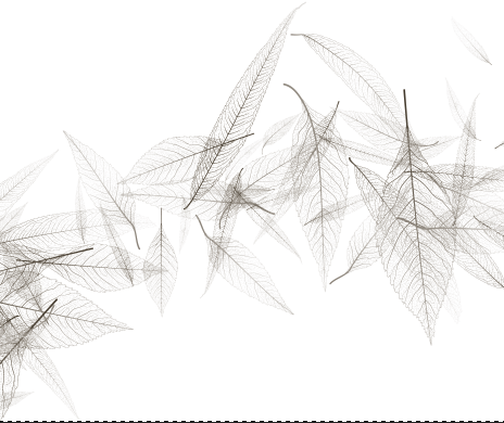 Papel Mural Viento - Calandra Murales