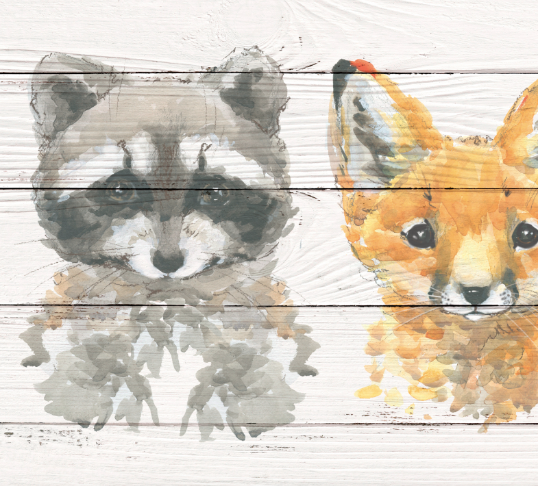 Papel Mural Animales - Calandra Murales