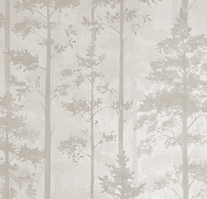 Papel Mural Regina B - Calandra Murales