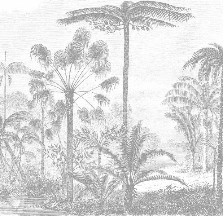 Papel Mural Piscis Grey - Calandra Murales