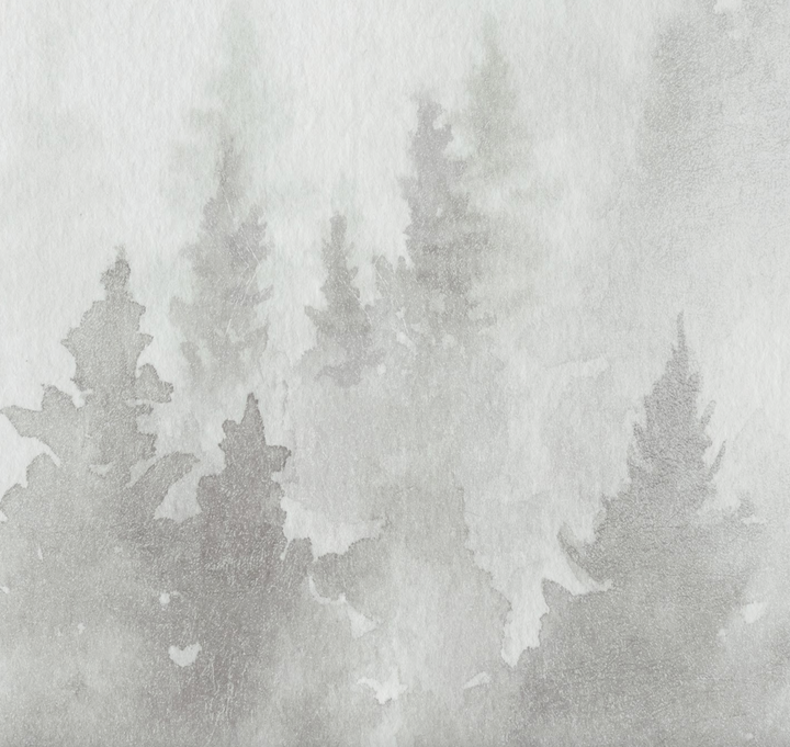 Papel Mural Pino Beige - Calandra Murales