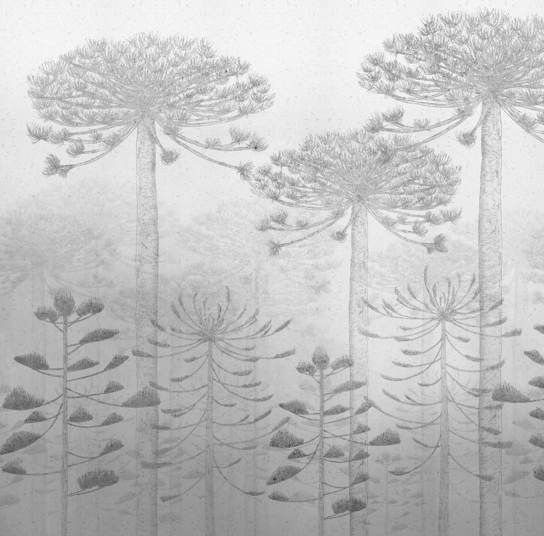 Papel Mural Malalcahuello Grey - Calandra Murales