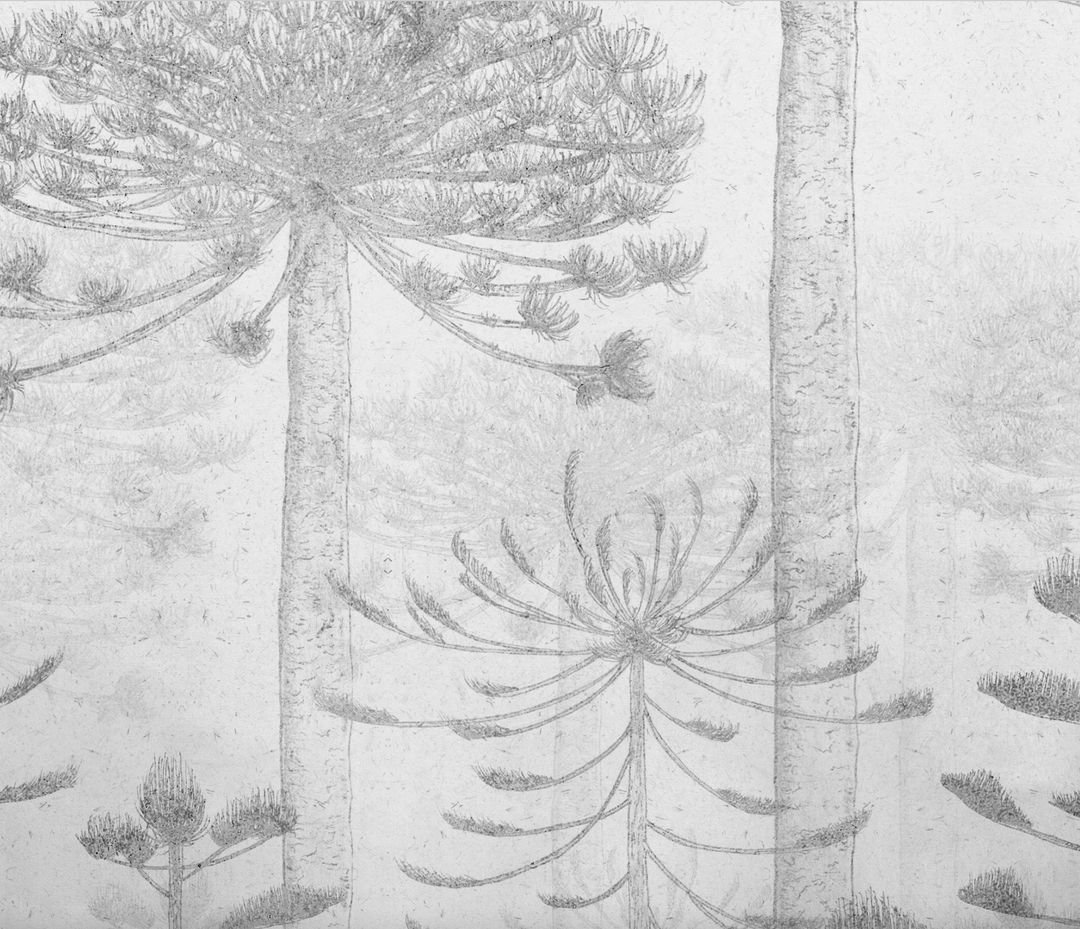 Papel Mural Malalcahuello Grey - Calandra Murales