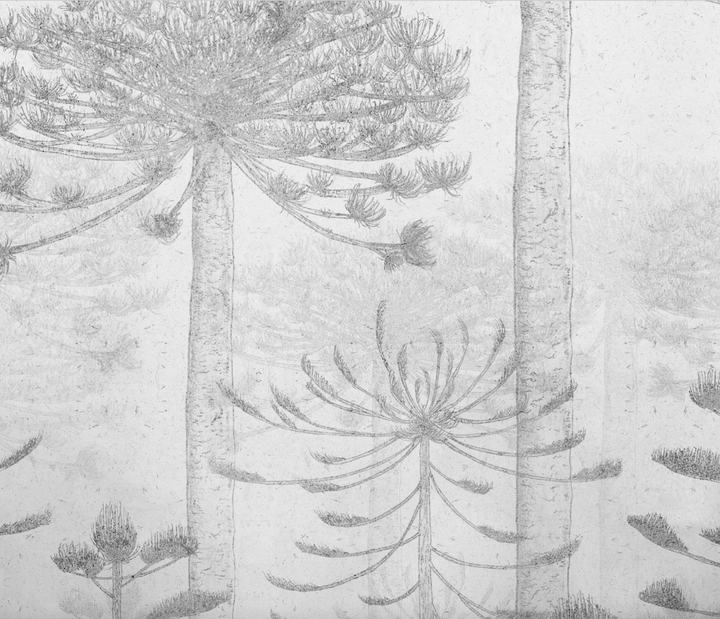 Papel Mural Malalcahuello Grey - Calandra Murales