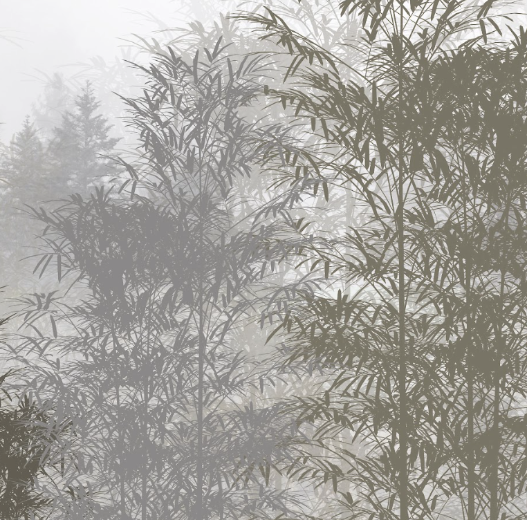 Papel Mural Bamboo Green - Calandra Murales