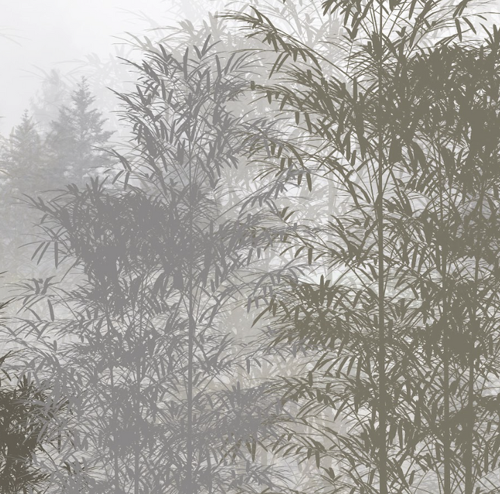 Papel Mural Bamboo Green - Calandra Murales