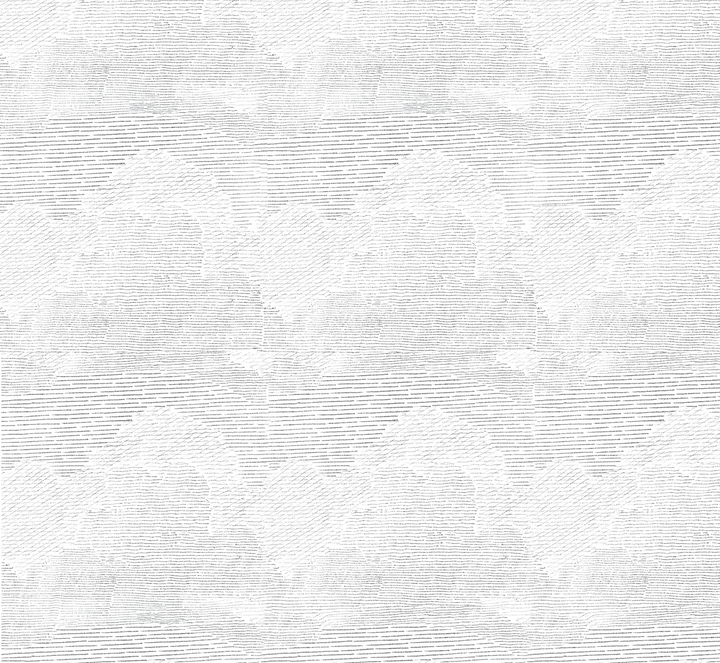 Papel Mural Maximiliano