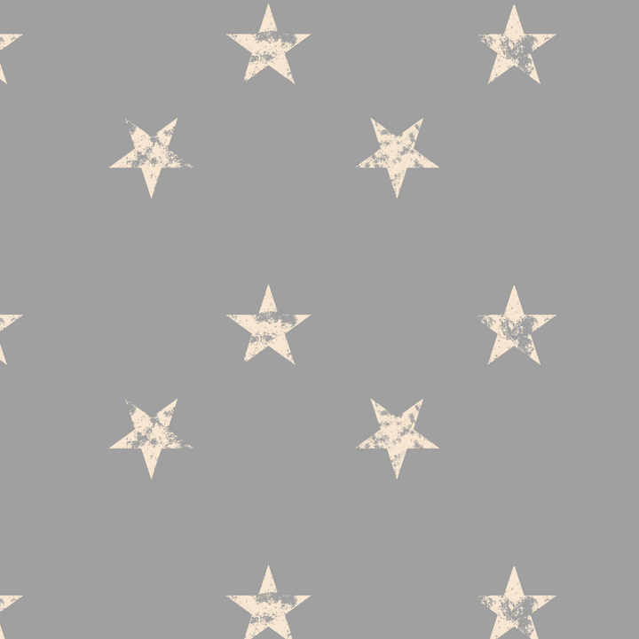 Papel Mural Estrellas Vintage - Calandra Murales
