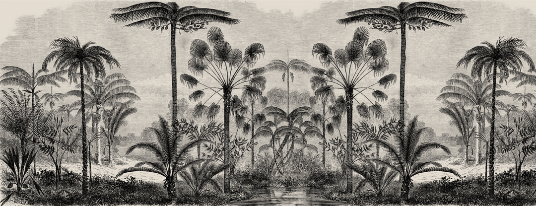 Papel Mural Cocotero - Calandra Murales