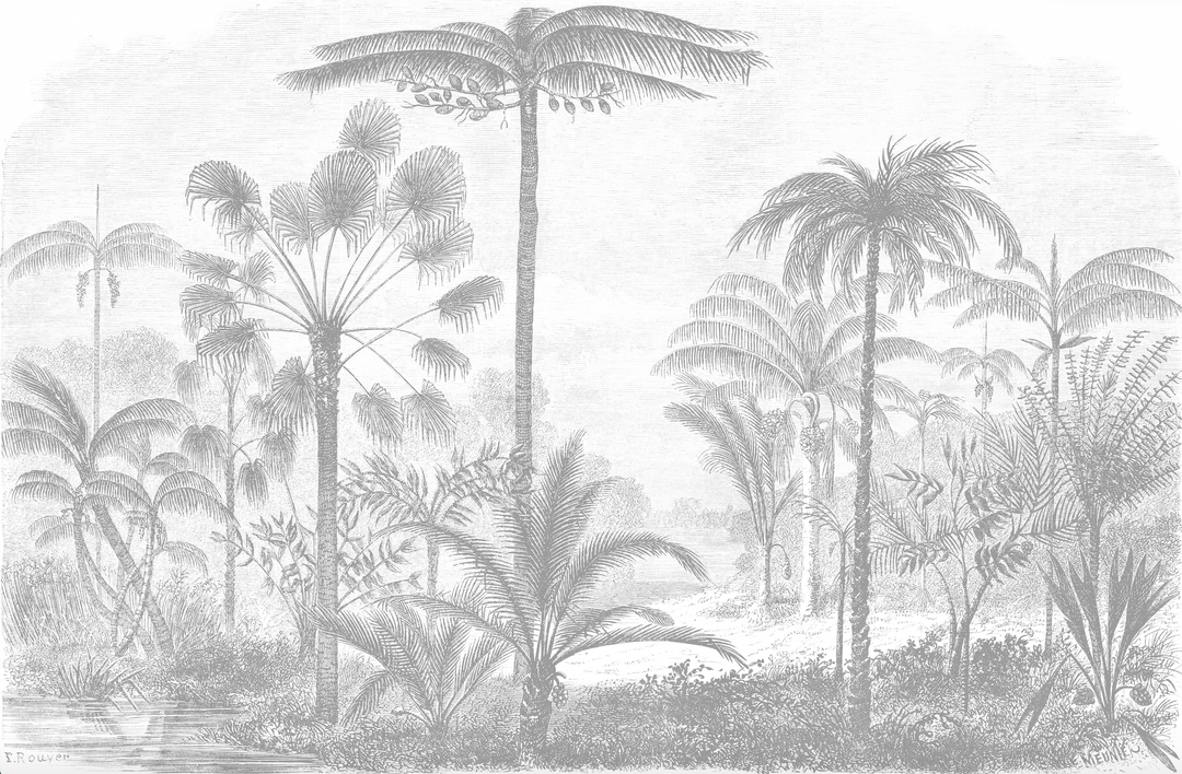 Papel Mural Cocotero - Calandra Murales