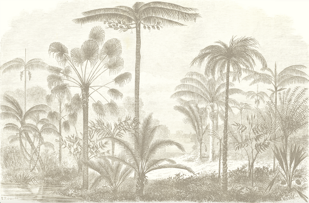 Papel Mural Cocotero - Calandra Murales