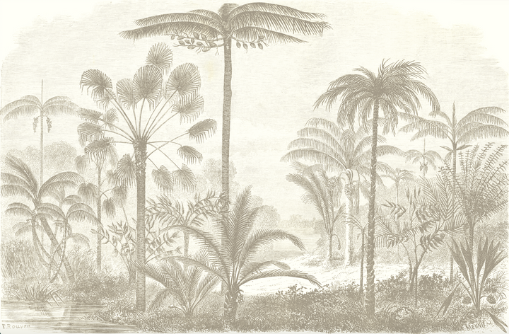 Papel Mural Cocotero - Calandra Murales