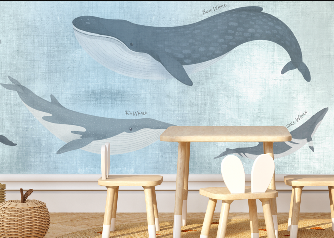 Papel Mural Ballena Azul - Calandra Murales