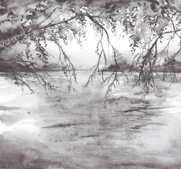 Papel Mural Lake - Calandra Murales